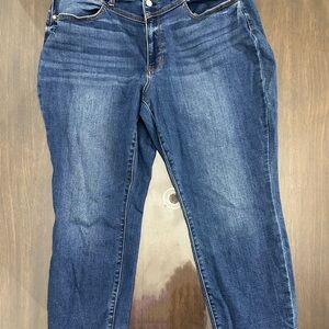 EUC Judy Blue 18W Slim Fit Denim